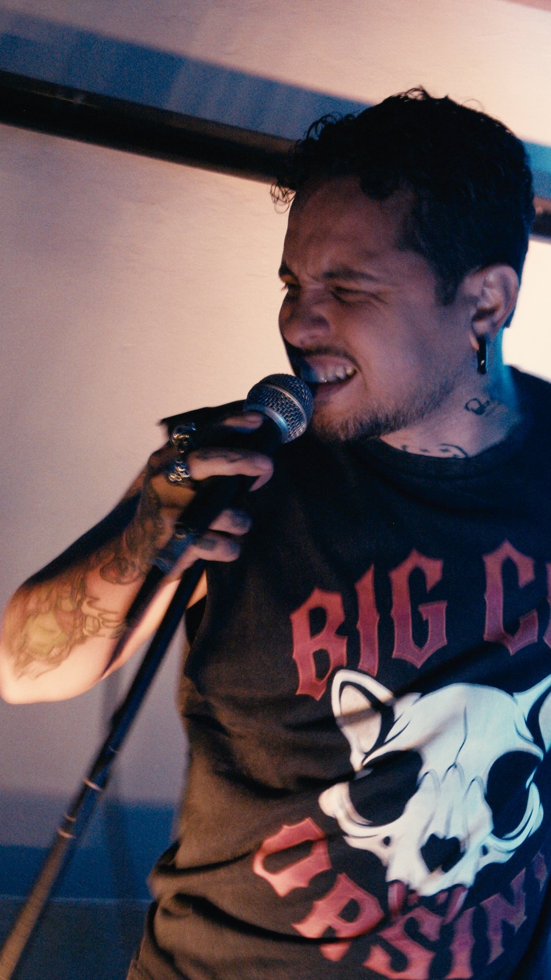 BigCat Orsini en vivo